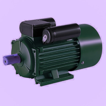 1.5HP Crompton Motor (...