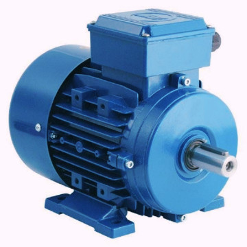 2 HP Foot Type Crompton...